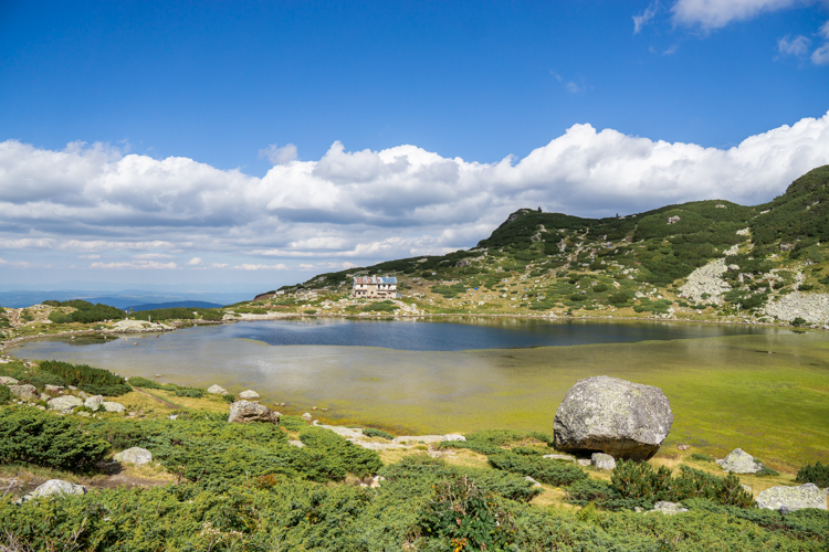 The Fish Lake 