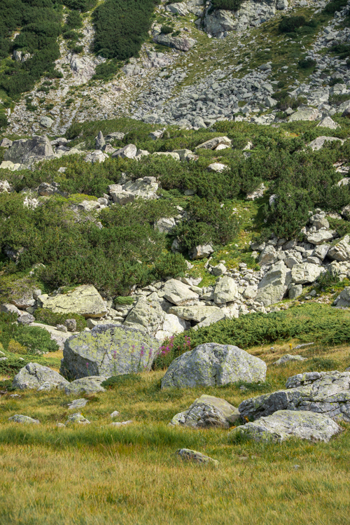 Zeven Rila Meren Bulgarije 4