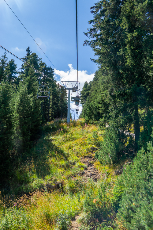 Uitzicht vanaf de kabelbaan over de bossen en bergen bij de Zeven Rila-meren in Bulgarije