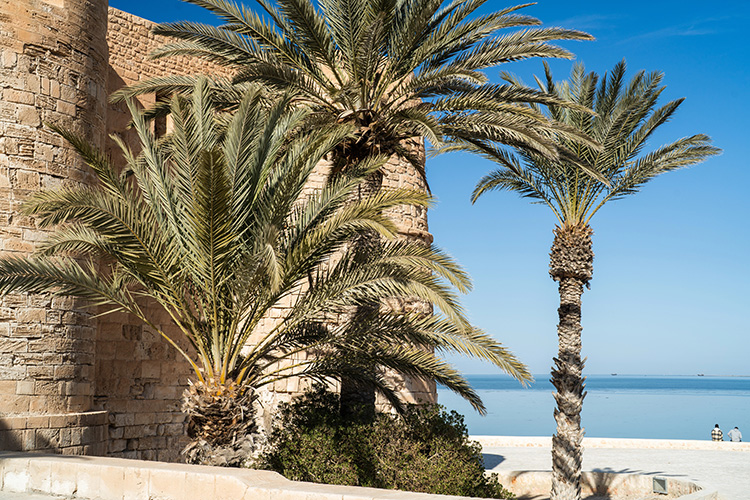 zonbestemmingen in november djerba
