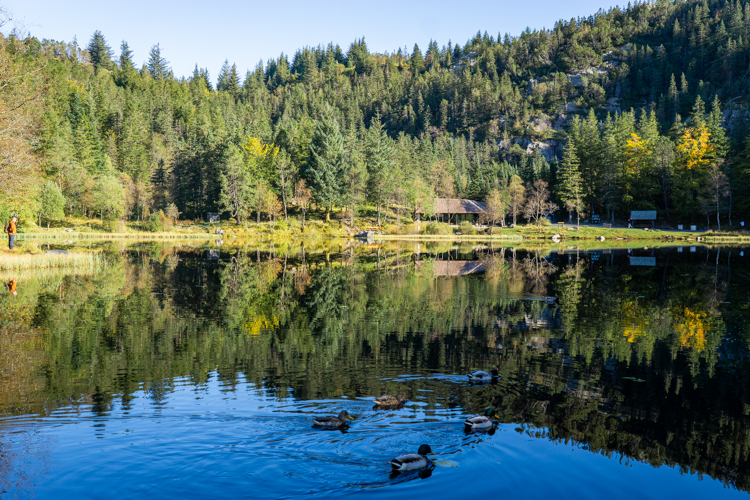 Skomakerdiket