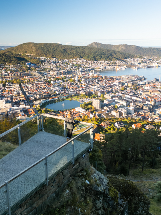 Fløyen
