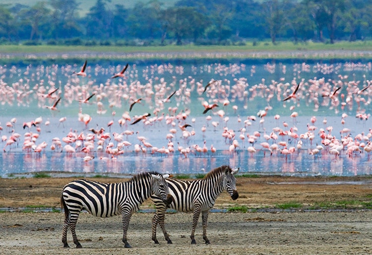 Individuele rondreis Tanzania en Zanzibar